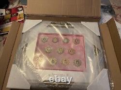 Disney Parks Snowflake Princess Framed Pin Set (limited Edition 100)